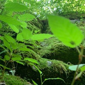 Meet your Posher, Tessa